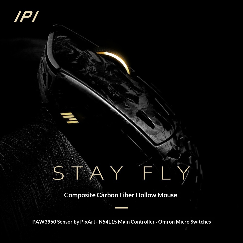IPI FLY Carbon Fiber Wireless  - Esports Gaming Mouse Wireless review and price