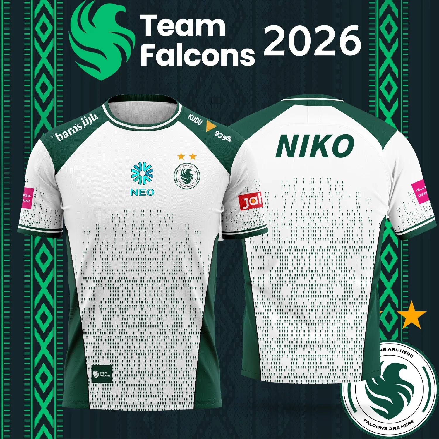 Family Matching 2026 Team Falc - Esports Gaming Jersey review and price